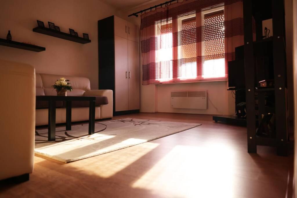 Viki Apartment Centar Ni المظهر الخارجي الصورة